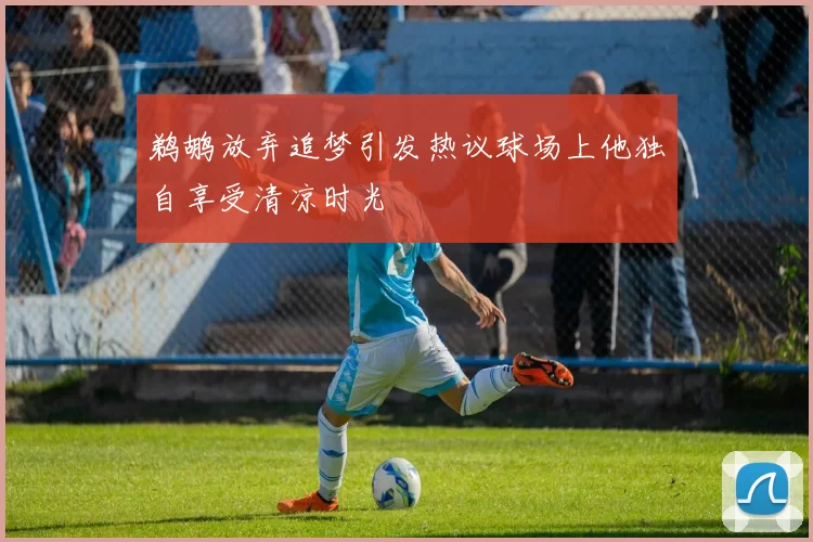 鹈鹕放弃追梦引发热议球场上他独自享受清凉时光