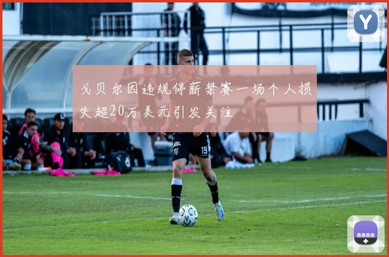 戈贝尔因违规停薪禁赛一场个人损失超20万美元引发关注